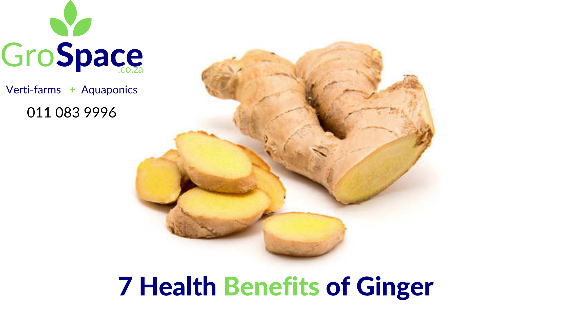 7 Health Benefits of Ginger