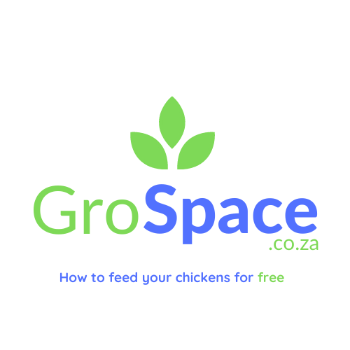 GroSpace - how to feed chickens for free
