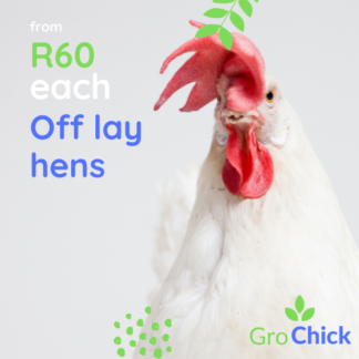 GroSpace - Off layers R60