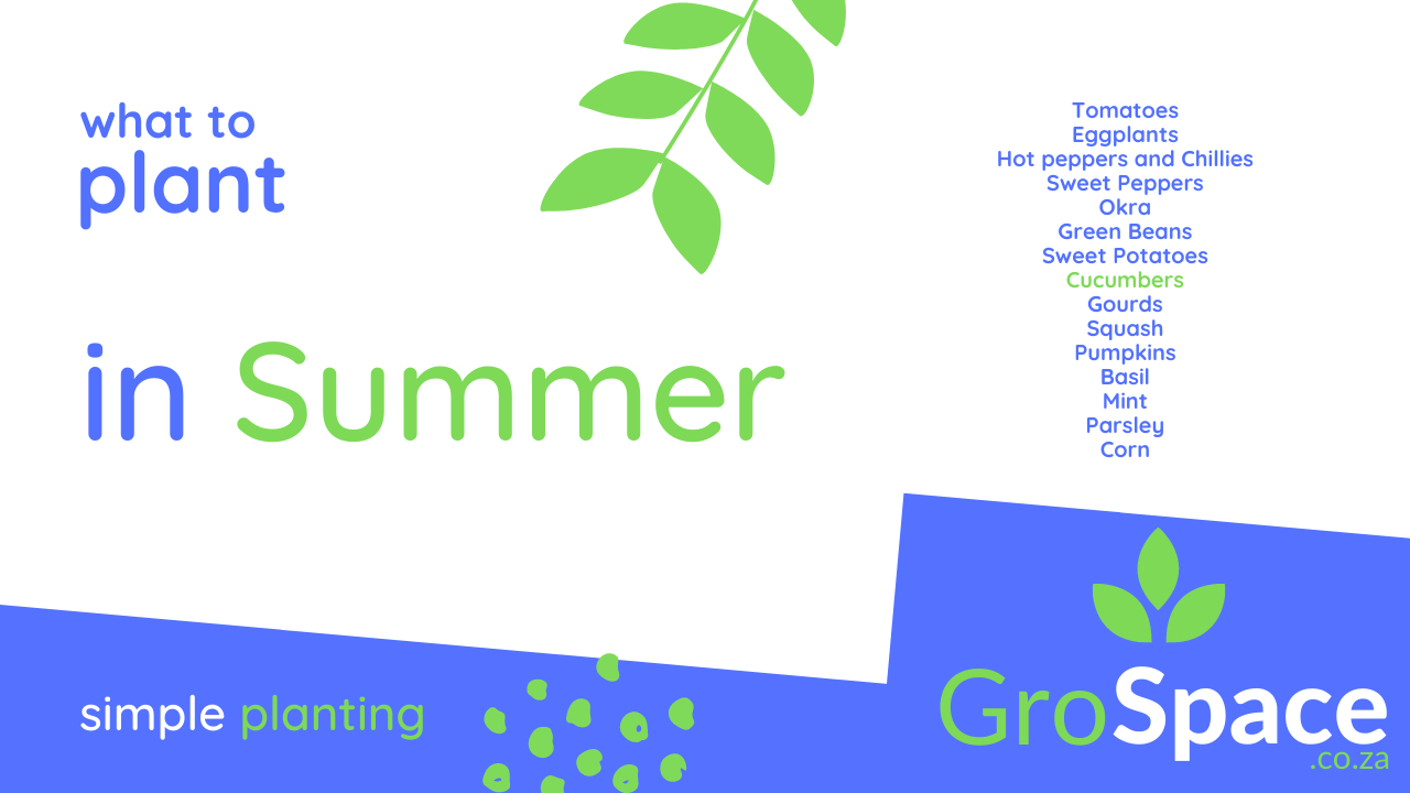 GroSpace - Summer vegetable planting guide