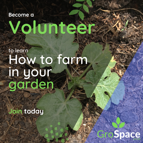 GroSpace - Sustainable farm training (2)
