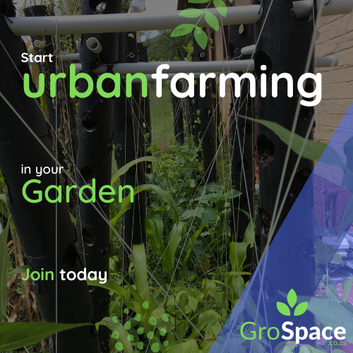 GroSpace - Sustainable farm training (3)