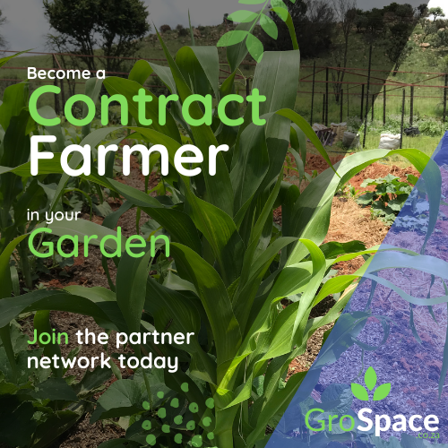 GroSpace - Sustainable farm training (4)