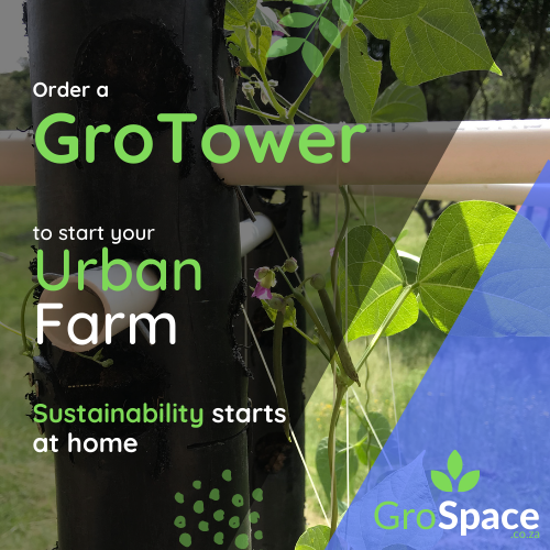 GroSpace - Sustainable farm training (5)