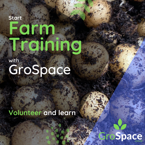 GroSpace - Sustainable farm training (6)