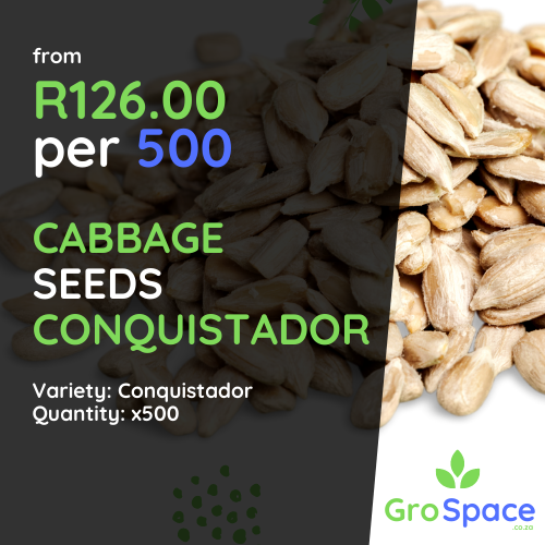 GroSpace - Seeds
