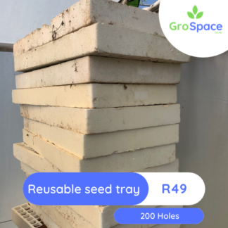 200 hole polystyrene seedling trays