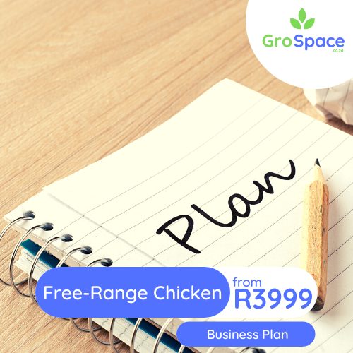 GroSpace - free range chicken egg business plan GroSpace - free range chicken egg business plan