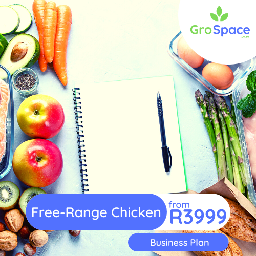 GroSpace - free range chicken egg business plan GroSpace - free range chicken egg business plan