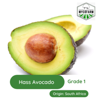 GroSpace - Hass Avocado (7)