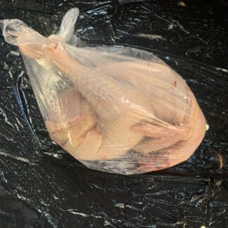 Slaughtered Chickens: Hardbody