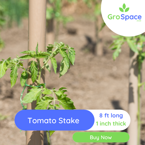 GroSpace - Tomato Stake