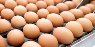 Table Eggs