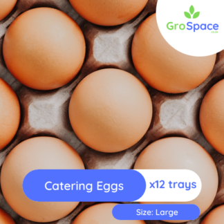 GroSpace - Eggs