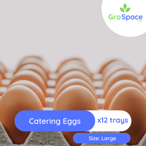 GroSpace - Eggs GroSpace - Eggs