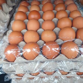 Fresh Eggs