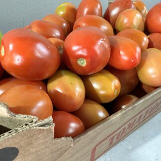 6kg Jam Tomato Box