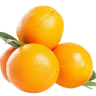 Grospace - Oranges