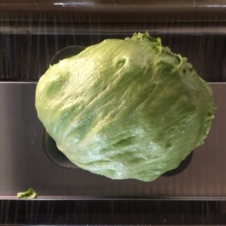 Lettuce
